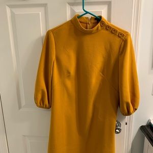 Ann Taylor button detail dress